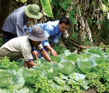 Tạo bứt phá trong đào tạo nghề cho nông dân 