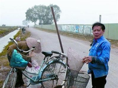 Hàng triệu lao động bị ảnh hưởng bởi thu hồi đất