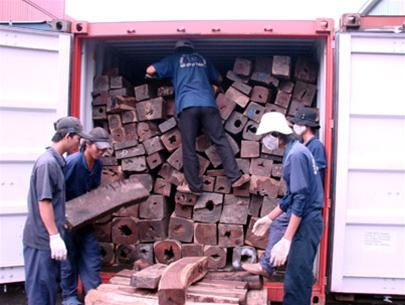 Chống xuất lậu 