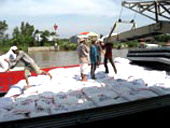 Kiên Giang nhiều khả năng xuất khẩu 700 ngàn tấn gạo trong năm nay