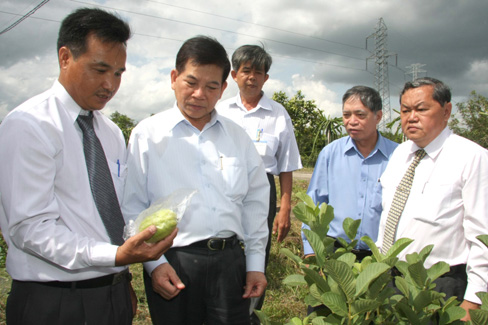 Chủ tịch nước Nguyễn Minh Triết: Viện Nghiên cứu Cây ăn quả miền Nam cần tích cực nghiên cứu lai tạo giống mới có chất lượng, đạt tiêu chuẩn xuất khẩu