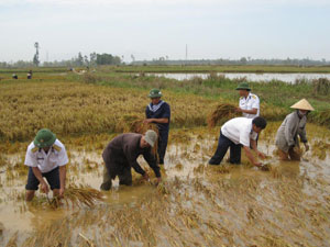 Sự nghiệp mới và Dân vận