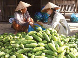 Thực hiện Nghị quyết 30a của Chính phủ: Giúp người nghèo tận dụng cơ hội từ chính sách của Nhà nước