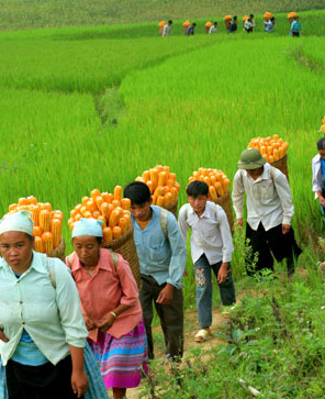 Đảng viên “cắm bản” được dân tin yêu