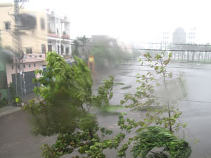 Bão số 11 vào bờ, nhiều địa phương bị thiệt hại