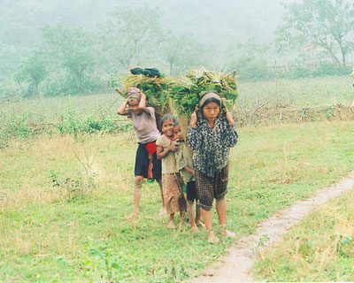 Nguyện ước rời núi