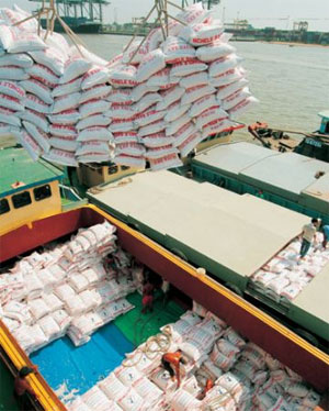 Năm 2010, Cơ hội cho xuất khẩu gạo Việt Nam