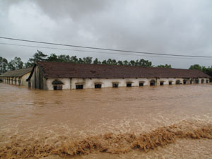 Quảng Trị lập làng mới cho bản bị bão số 9 tàn phá