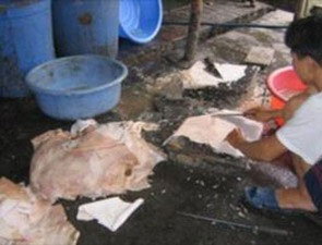 Tiếp tục thu giữ 1,98 tấn bì lợn ôi thiu