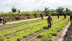 Chuyển biến đồng bộ từ cuộc vận động