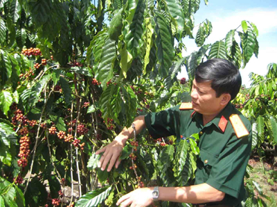 Sức sống ở “Ngã ba Đông Dương”