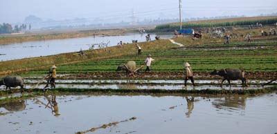 Lực lượng vũ trang Ninh Bình làm theo tấm gương đạo đức Bác Hồ (kỳ 3)