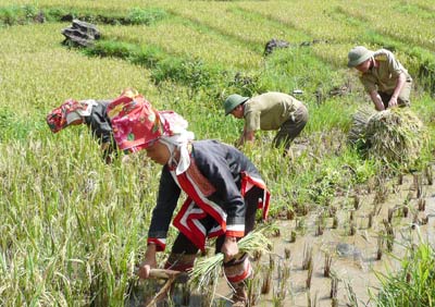 Những chính sách mới áp dụng cho năm 2010