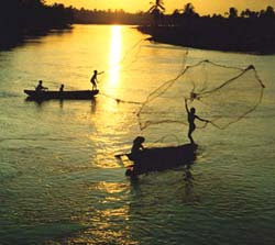 Sông quê, nâng bước con đi