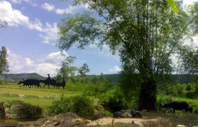 “Thành trì” quê tôi