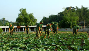 Đầu tư gần 3000 triệu đồng xây dựng 14 khu tăng gia tập trung