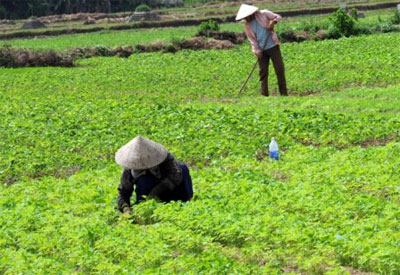 Chọn việc thiết thực mà dân mong đợi