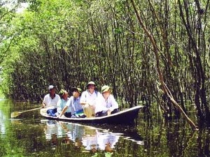 Các tour du lịch miệt vườn ở Nam bộ hút khách