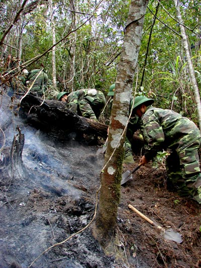 Quân dân kề vai, sát cánh