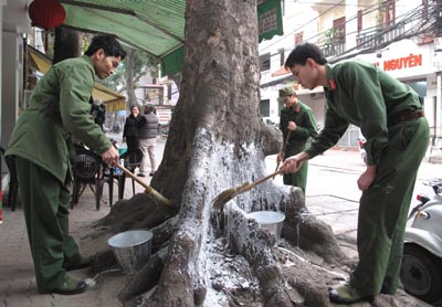 Ra quân xây dựng tuyến phố “Xanh-sạch-đẹp”