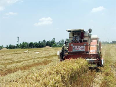 Cần tìm ra thủ phạm phá hoại máy gặt đập liên hợp