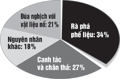 Về miền đất sống bên... 