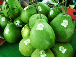 Hội chợ triển lãm Kinh tế - Nông nghiệp Đồng bằng sông Cửu Long: Gần 300 gian hàng tham gia