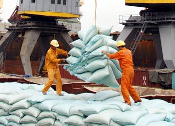 Kim ngạch xuất khẩu gạo đạt hơn 1 tỷ USD