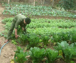 Ngành hậu cần Bộ Tổng tham mưu chuyển biến toàn diện