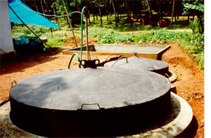 Chủ động xử lý chất thải chăn nuôi