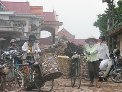 Phụ nữ “xã đảo”, đời còn lắm nỗi nhọc nhằn