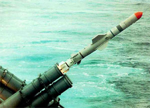 Tên lửa diệt hạm cận âm