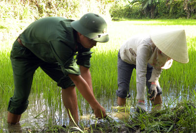 Lên tuyến cùng Bộ đội Thông tin (kỳ 2)
