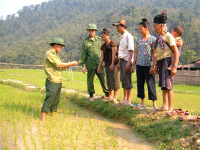 Cần đẩy nhanh tiến độ thực hiện đề án