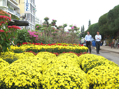 Nhộn nhịp chợ hoa xuân