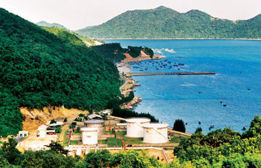 Lòng dân bến đón