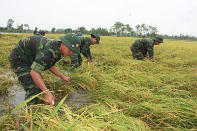 Vượt mưa lũ, bảo vệ tính mạng, tài sản của nhân dân