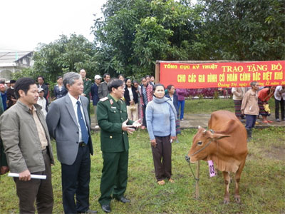 Xuân đến sớm với Đa Krông