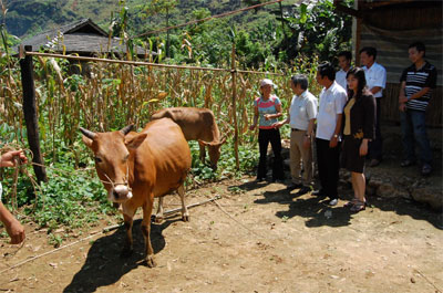 Giảm nghèo bền vững