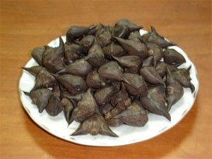 Bùi bùi vị ấu quê tôi