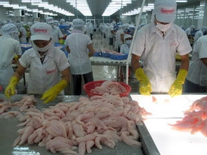 Cá tra Việt ra khỏi danh sách đỏ WWF ở châu Âu