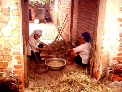 Lời giải cho bài toán trượt giá