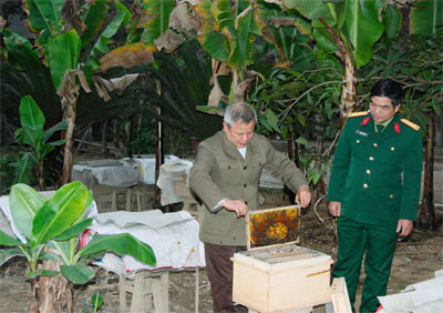 Thoát nghèo nhờ nuôi ong