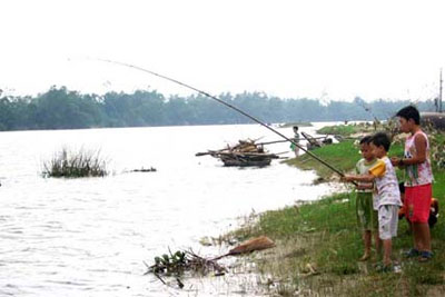 Nhớ con cá bống sông Trà!