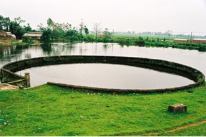 Nhớ giếng nước quê hương