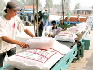 Đẩy mạnh cho vay sản xuất lương thực, thực phẩm