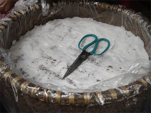 Bánh cuốn của mẹ