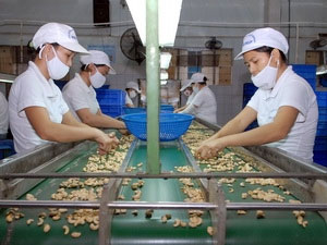 Xuất khẩu nông, lâm, thủy sản ước đạt 3,6 tỷ USD