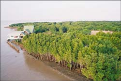 Trù phú vùng đất trẻ Năm Căn