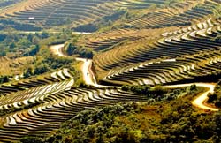 Để mùi xăng dầu... về bản